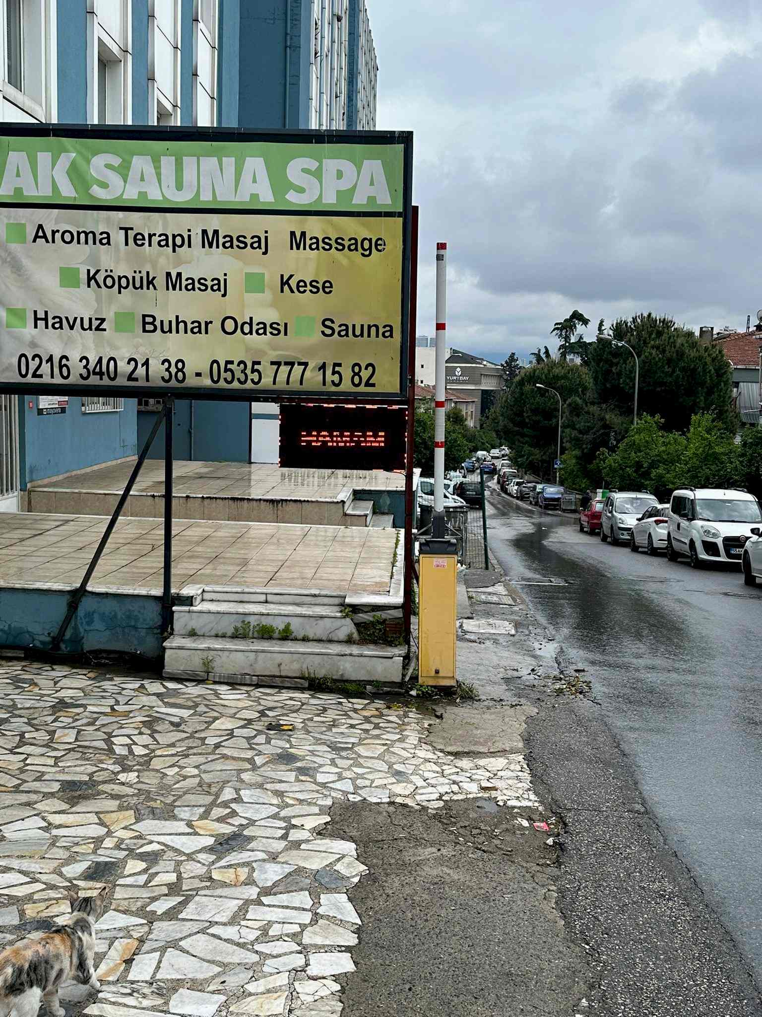 Fotoğraf